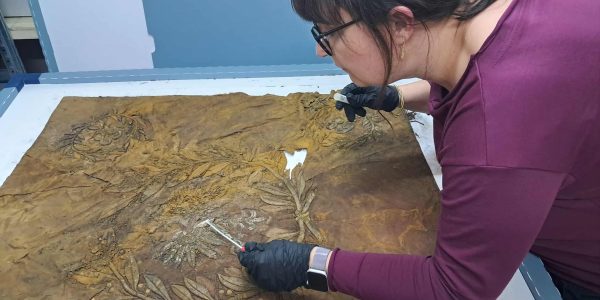 619278923_2747085595691815_2195819542589002419_n