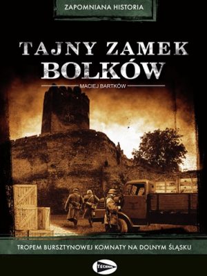 Tajny-zamek-Bolkow-1